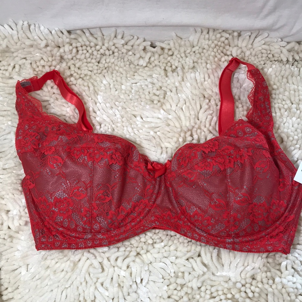 Fredericks of Hollywood 36F NWT push-up padded bra